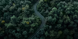 a long curved road cuts through a wooded area