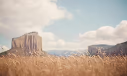the view from behind a tall field of tall grass