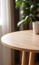 the plant is near the wooden table in the room