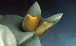 a flower is shown with a dark background