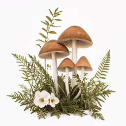 a group of mushrooms with ferns and flowers