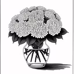 drawing a vase with white flowers and leaves,this is a drawing of some flowers in a vase