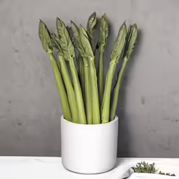 a white vase with some green plants in it