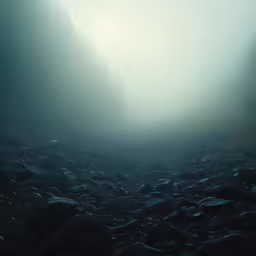 a foggy and dirt field with rocks and trees