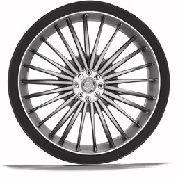 a black and white wheel, with black spokes