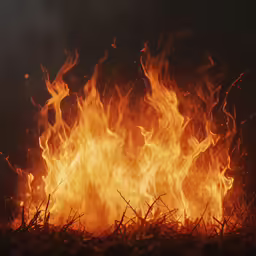 there are several fire tongues in the sky