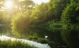 the lake is surrounded by the many green trees
