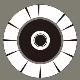 a close up of a white and black object with lines in it,the center of a circular object that is in gray,the center of a white circular object with an oval opening,an image of a black and white design,a black and white circle with a light on the inside