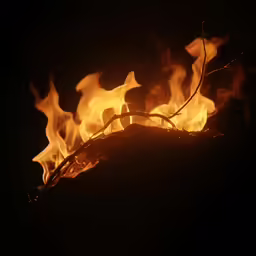 a bush fire that is about to consume and spew out its contents