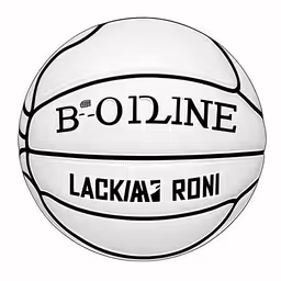 an image of a white basketball ball,a black and white drawing of a basketball on a white background