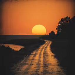 a sunset over a dirt road with a lone tree