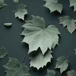 many leaves lay on top of each other