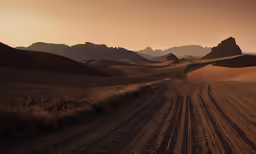 a dirt road in the middle of a desert