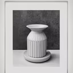 this is a white photograph of a decorative vase