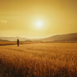 man standing on grassy field at sunset with dog watching