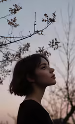 a girl looking up at a tree during sunset