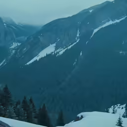 a view of a forest and a snow capped mountain