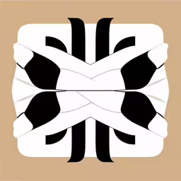 some black and white stripes arranged together