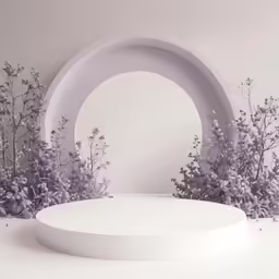 white backdrop with a circular white stand for display