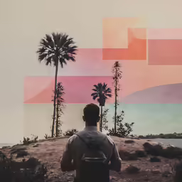 a man with a backpack looks at palm trees with a sunset in the background