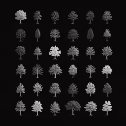 trees are shown in this black and white photo