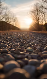 the ground has some rocks on it