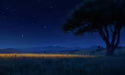 a tree sitting under a night sky filled with stars