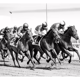 a race horse racing as it crosses the finish line