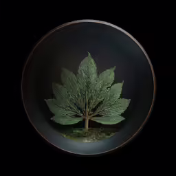 green tree displayed in black glass bowl against dark background