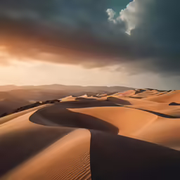 a long sandy dune with clouds coming in