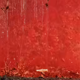 an area of a field that has fallen into disrepair