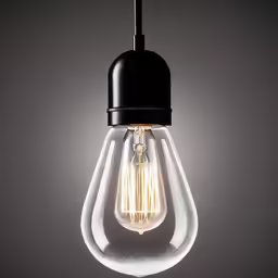 a black and clear bulb hanging from the ceiling