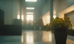 flower arrangement in vase in the hallway of a building