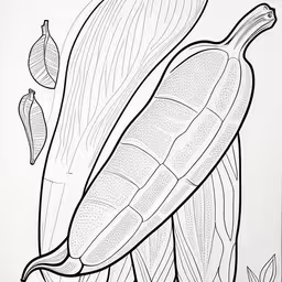 black and white drawing of a bunch of bananas
