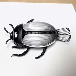 the black beetle is drawn on a sheet of paper