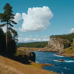 there is a large body of water near the shore