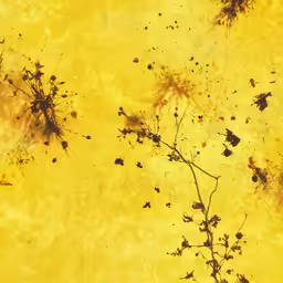 close up of yellow and black stains of water