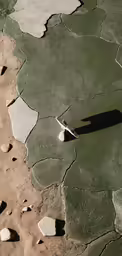 a view from above of a skateboard resting on rock