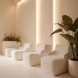 modern style living room with white furniture and plants