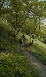 two people riding horses on a wooded trail