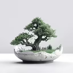 a large bonsai tree is shown in an indoor environment