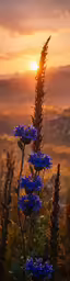 some blue flowers and plants in the wilderness