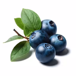 a few blue berries with green leaves sitting on top of it