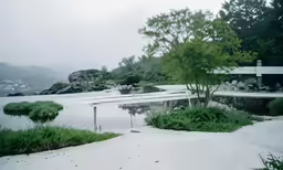 a pond in a wooded area, during the day