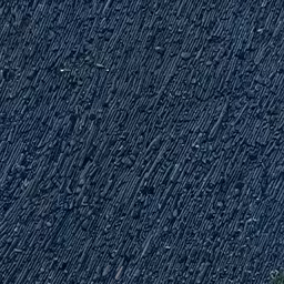 an aerial view of a tree and a plane wing