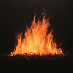 the bonfire is blazing and it looks like its on fire