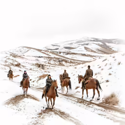 five people in coats are riding horses up the hill