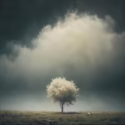 a tree is seen with its leaves still on the branches