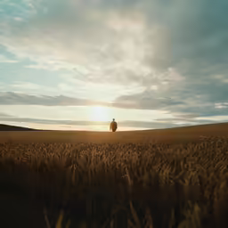 a lone person walking through a field near the sun
