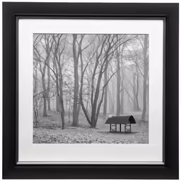 an open bench sitting next to a forest with lots of trees